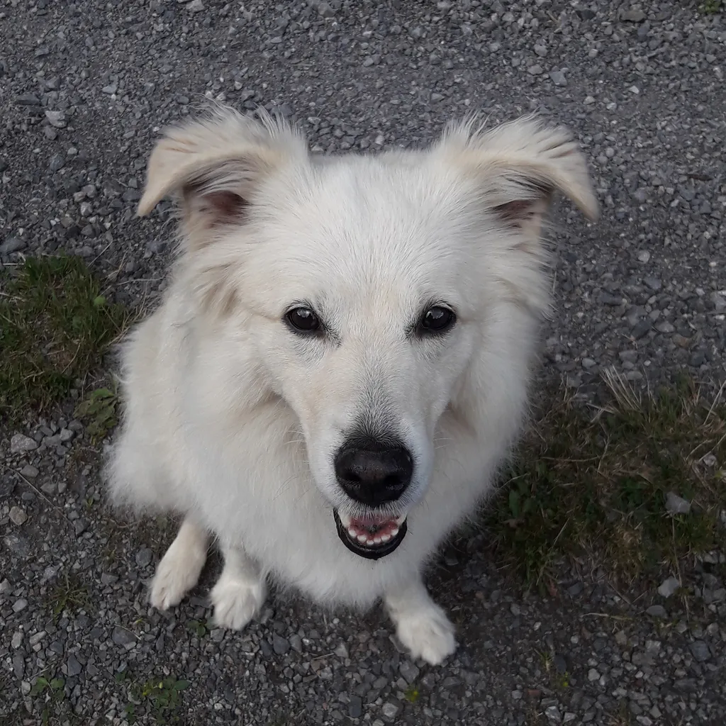 Profilbild von Wiebke