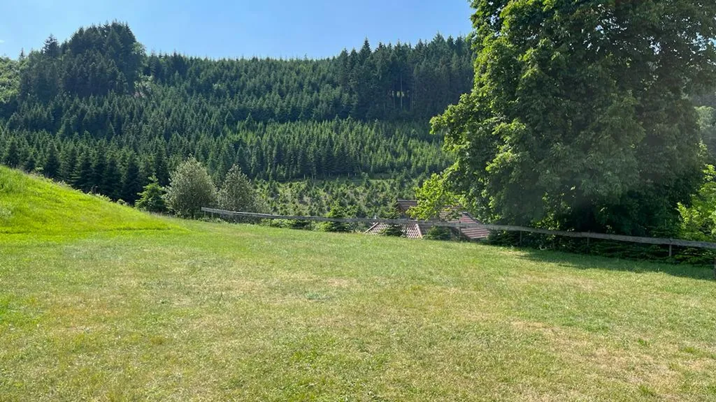 Stellplatz auf der sonnigen Wiese