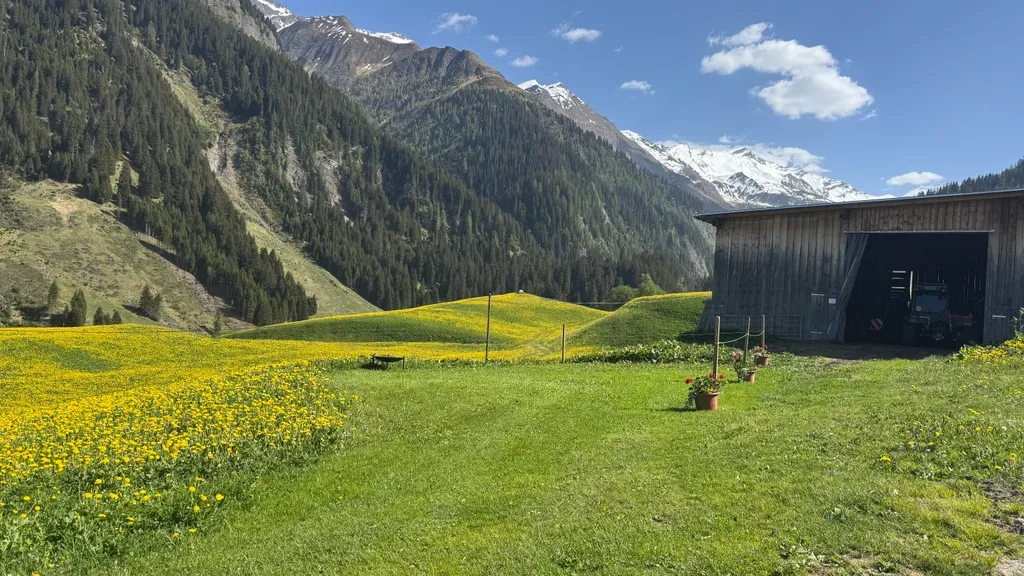 CampCons nahe der Greinaebene