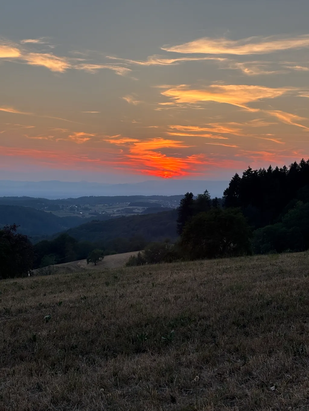 Bild von Viola für den Spot 1580