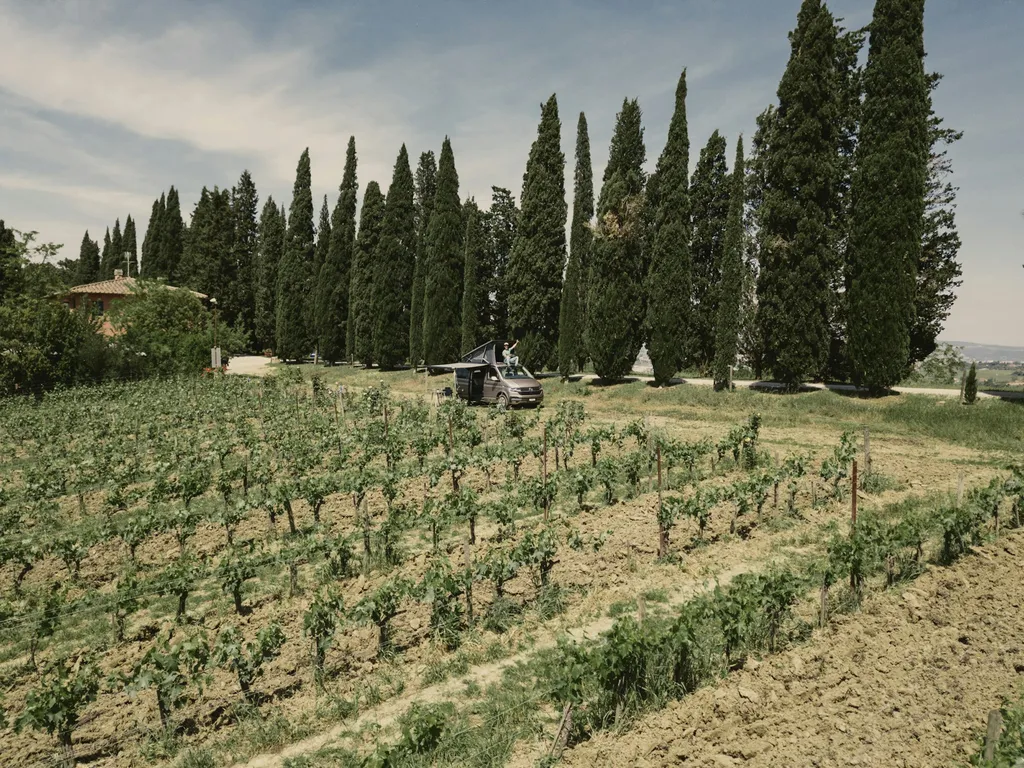 Camp nel vigneto 🍇🍷