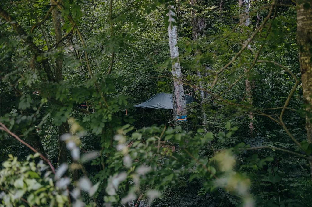 Baumzelt an idyllischer Lage