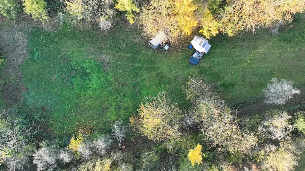 Wiese zwischen Saale & Weinbergen