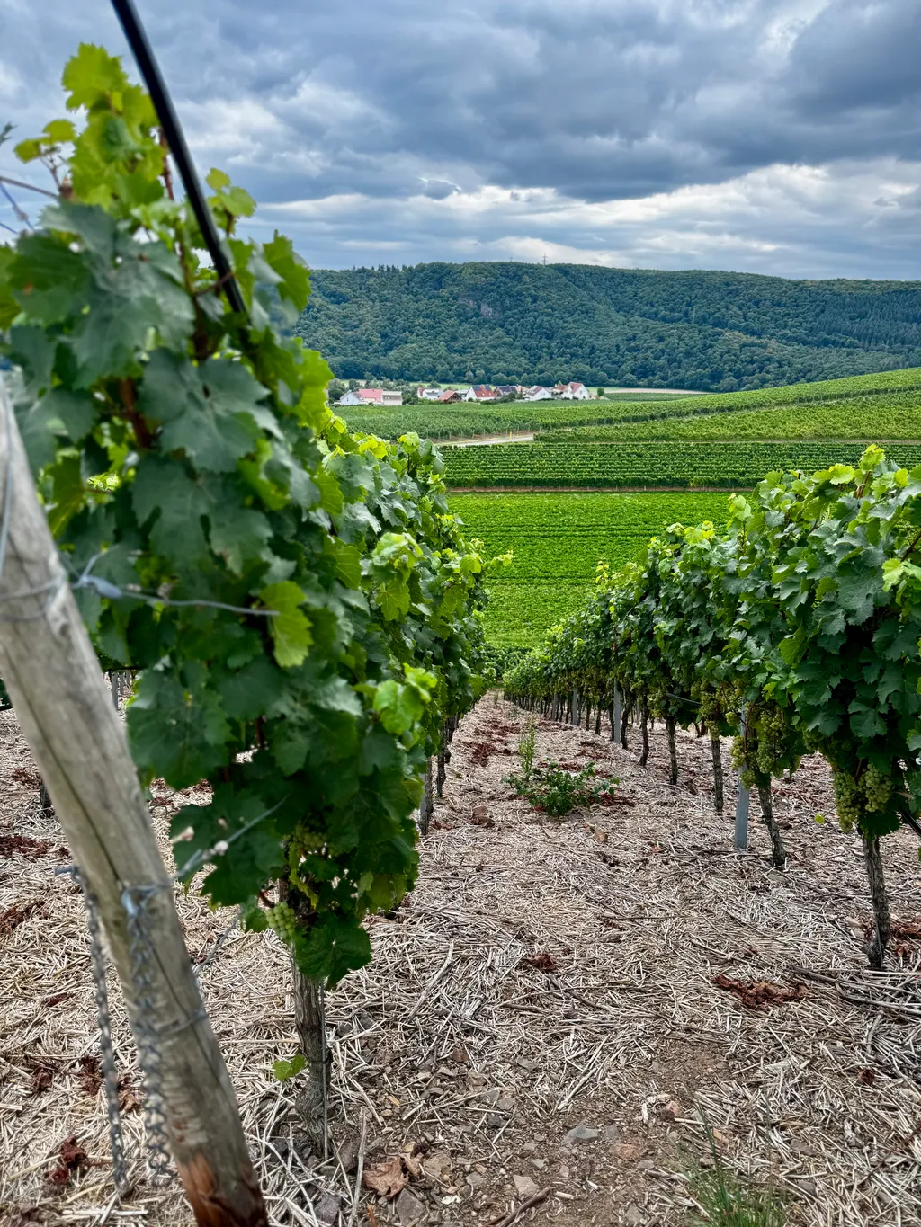 Bild von Björn für den Spot 3913