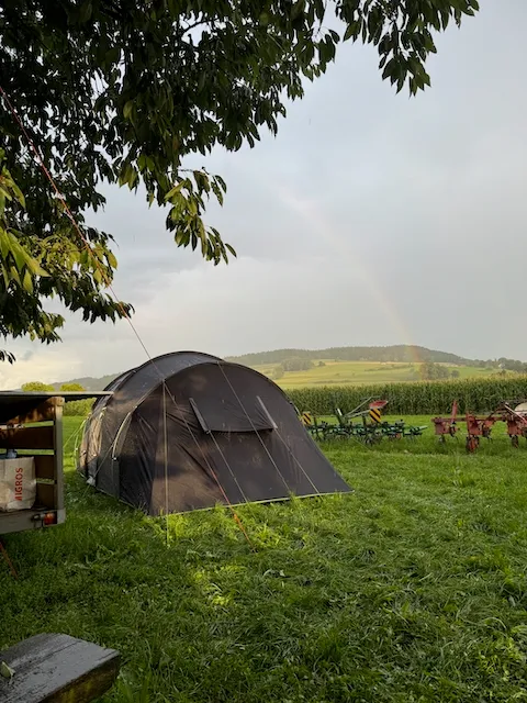 Bild von Stefan für den Spot 1180