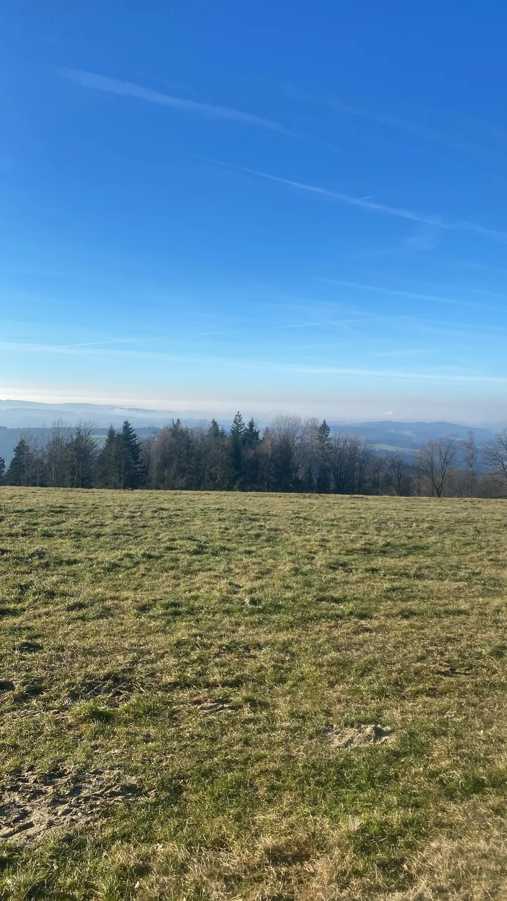 Blick in die Ferne im Bayerischen Wald