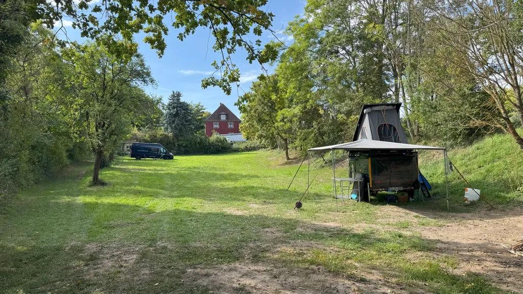 Wiese zwischen Saale & Weinbergen