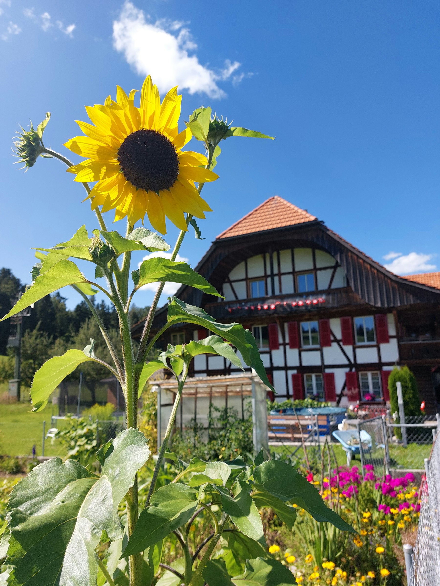 Natur und Gastfreundschaft