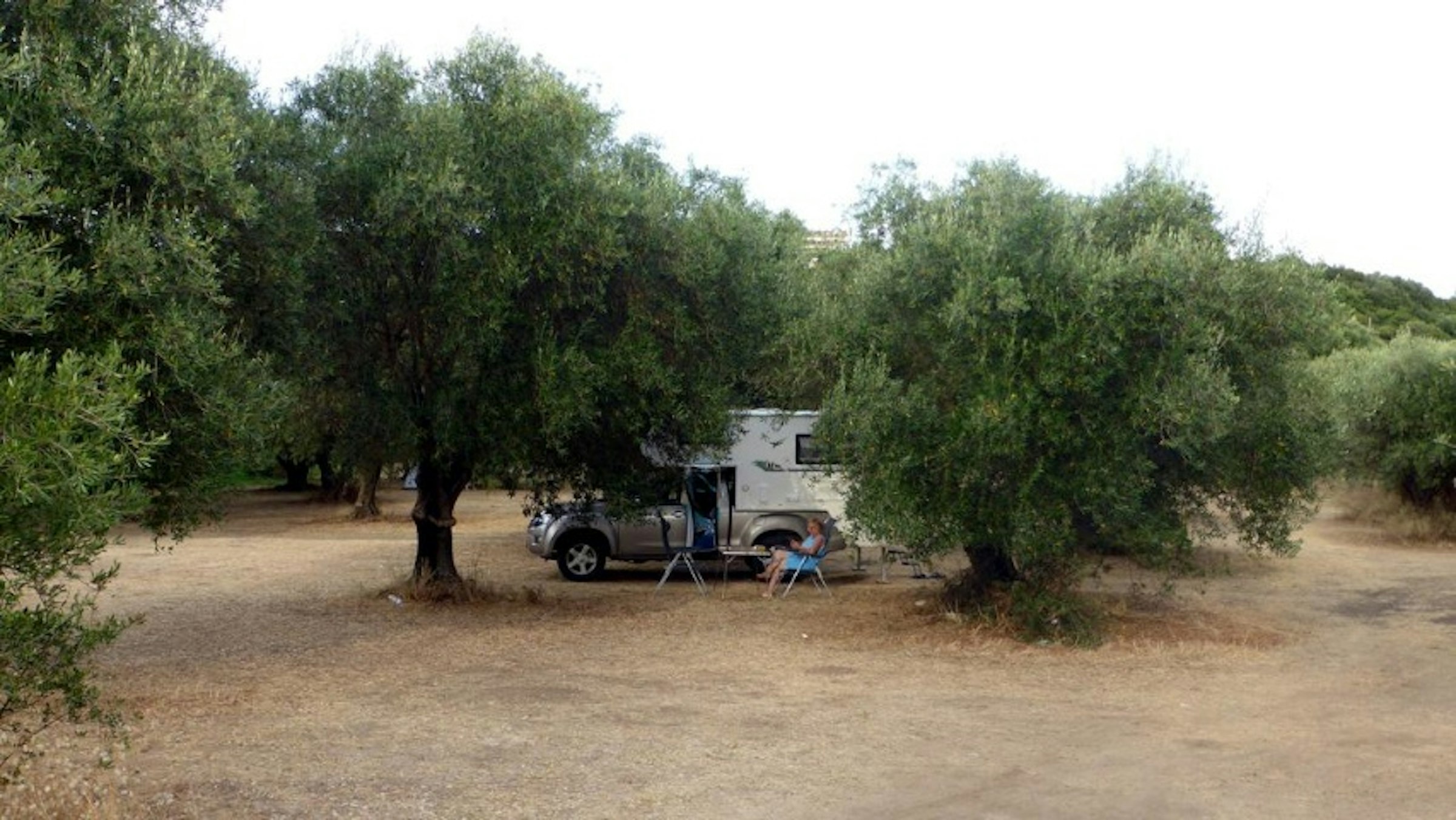 Velanidia BIO Olivenhain