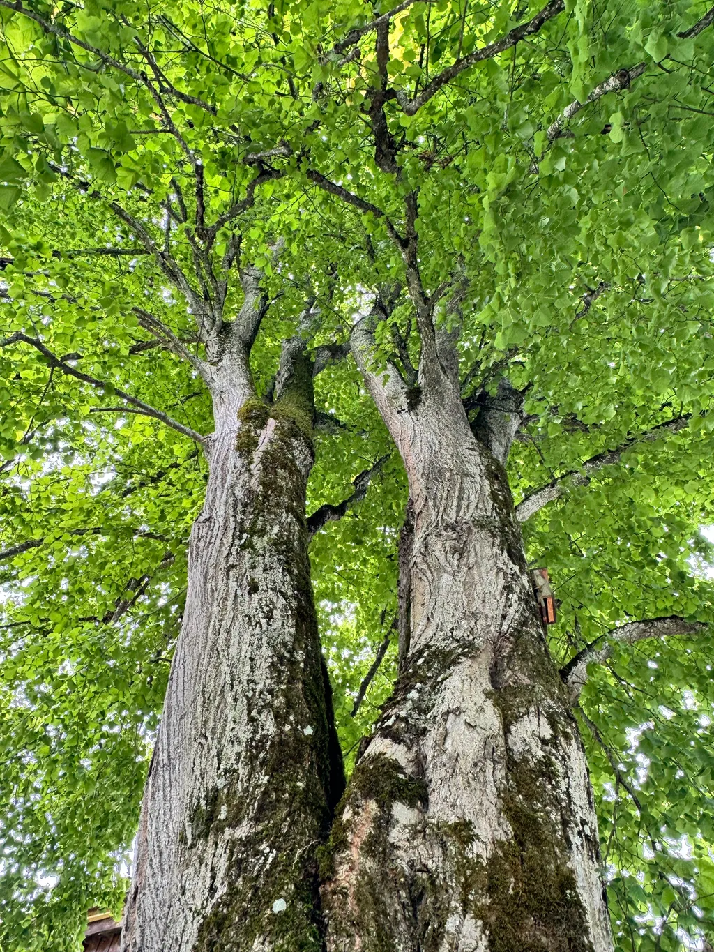 Bild von Karin für den Spot 3666