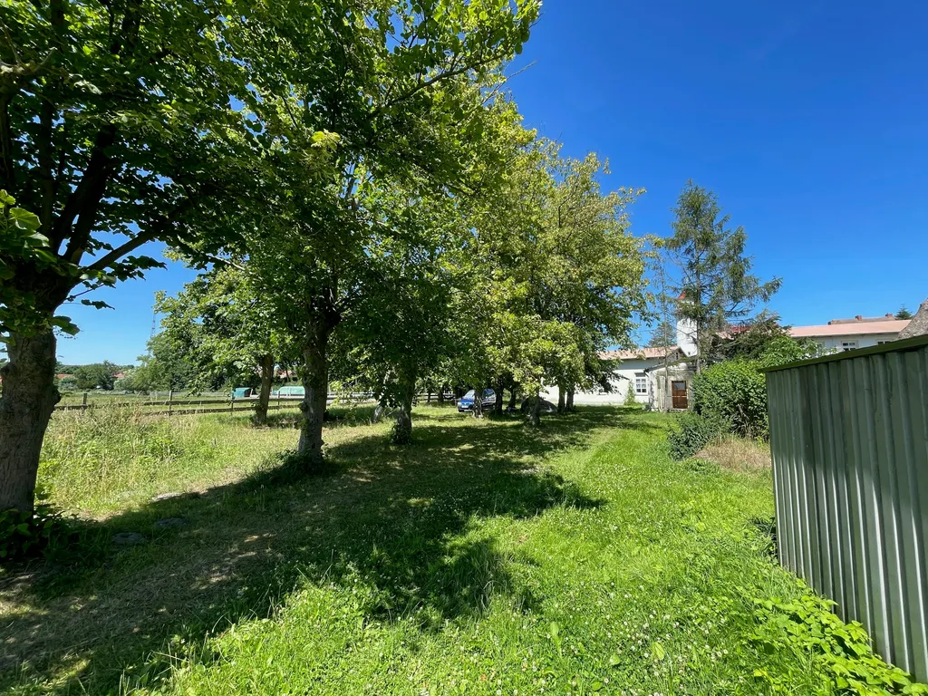 Gartenwiese an kleinem Naturhafen