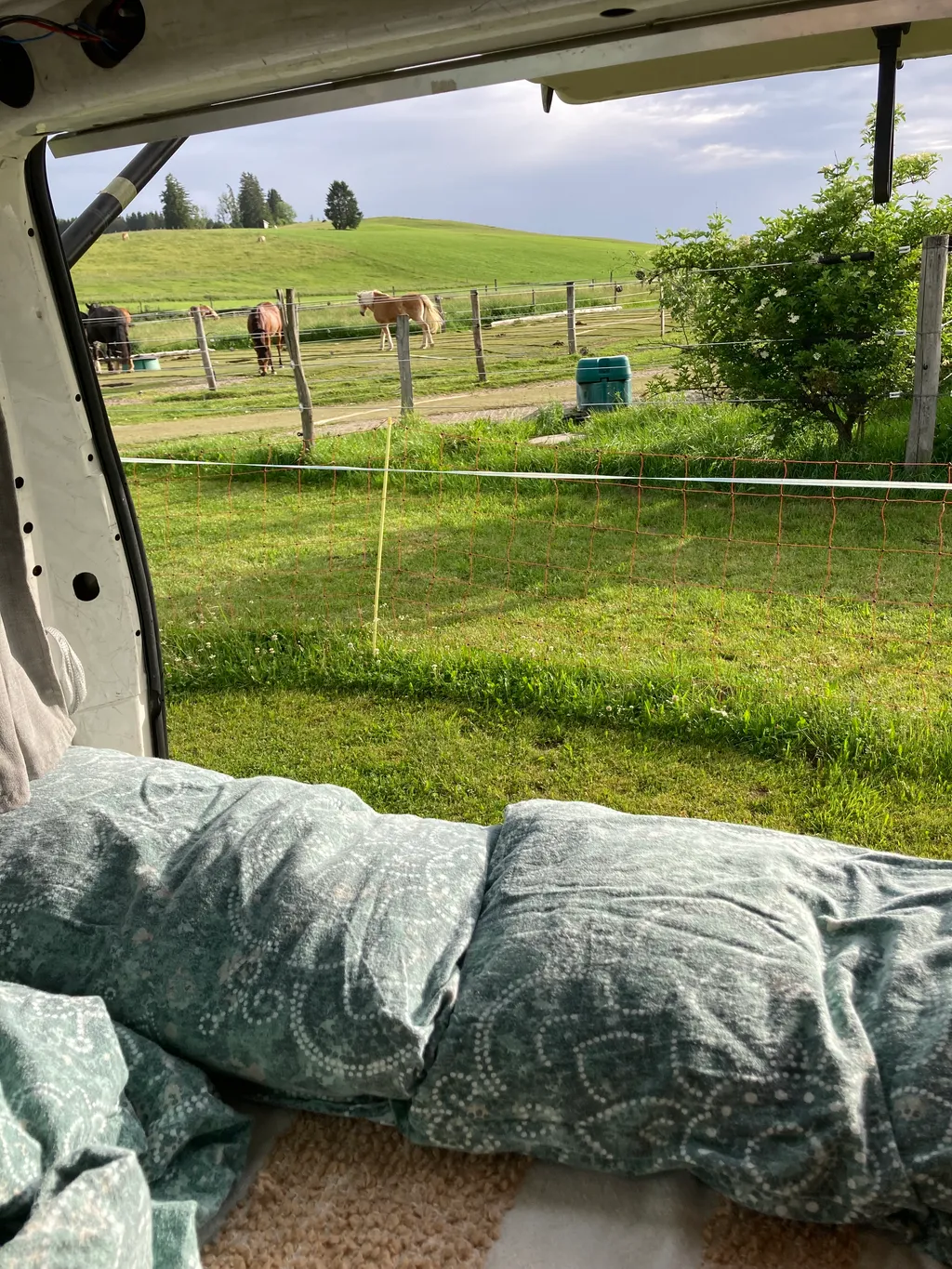 Bild von Tatjana für den Spot 3850