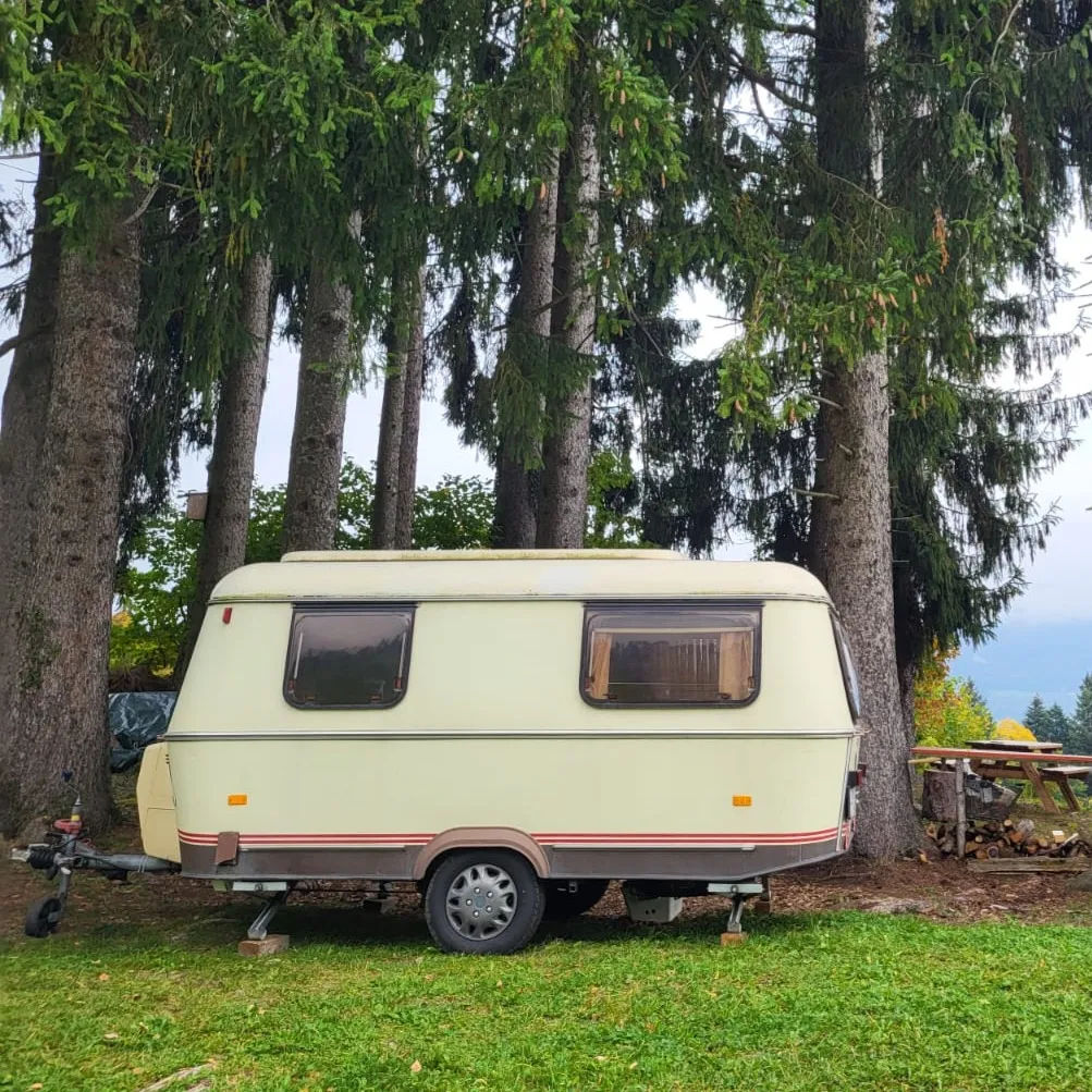 Profilbild von Raphaela