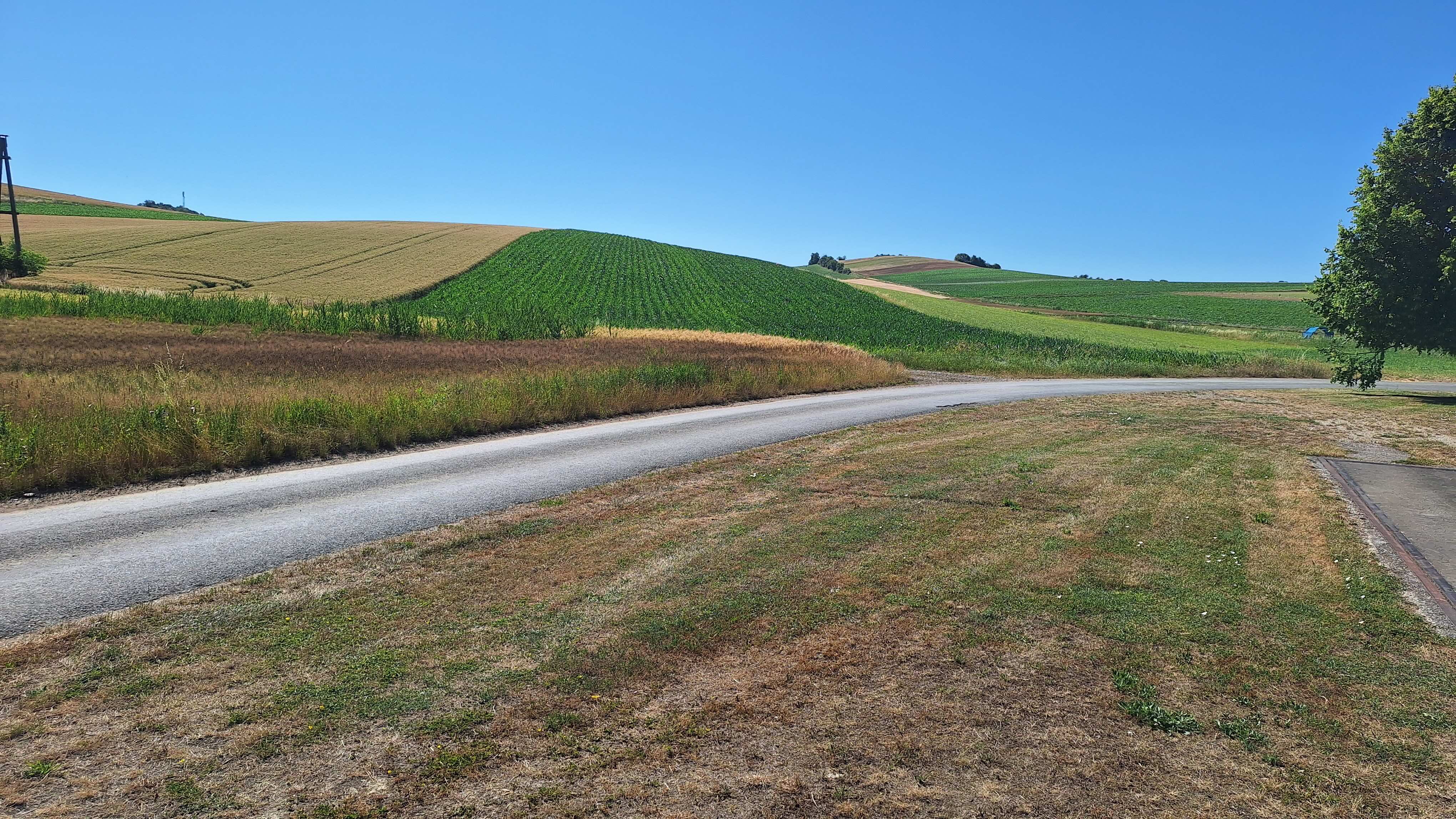 Spielplatz Maisbirbaum 2.jpg