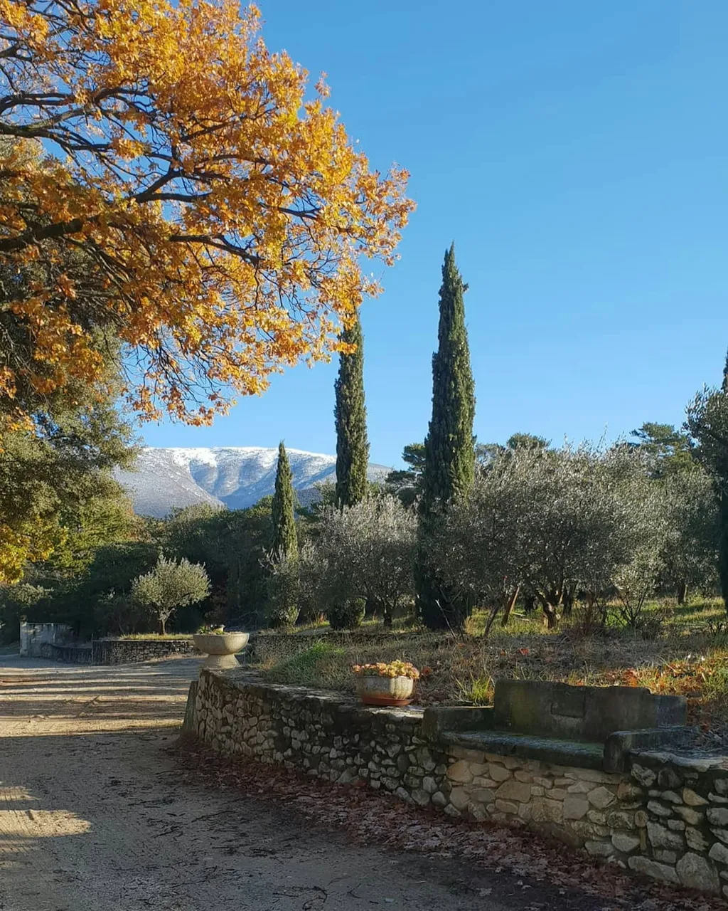 Paradis dans la Drôme Provençale