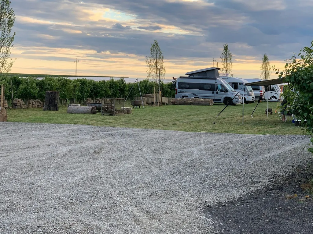 Mittendrin im Weinerlebnis