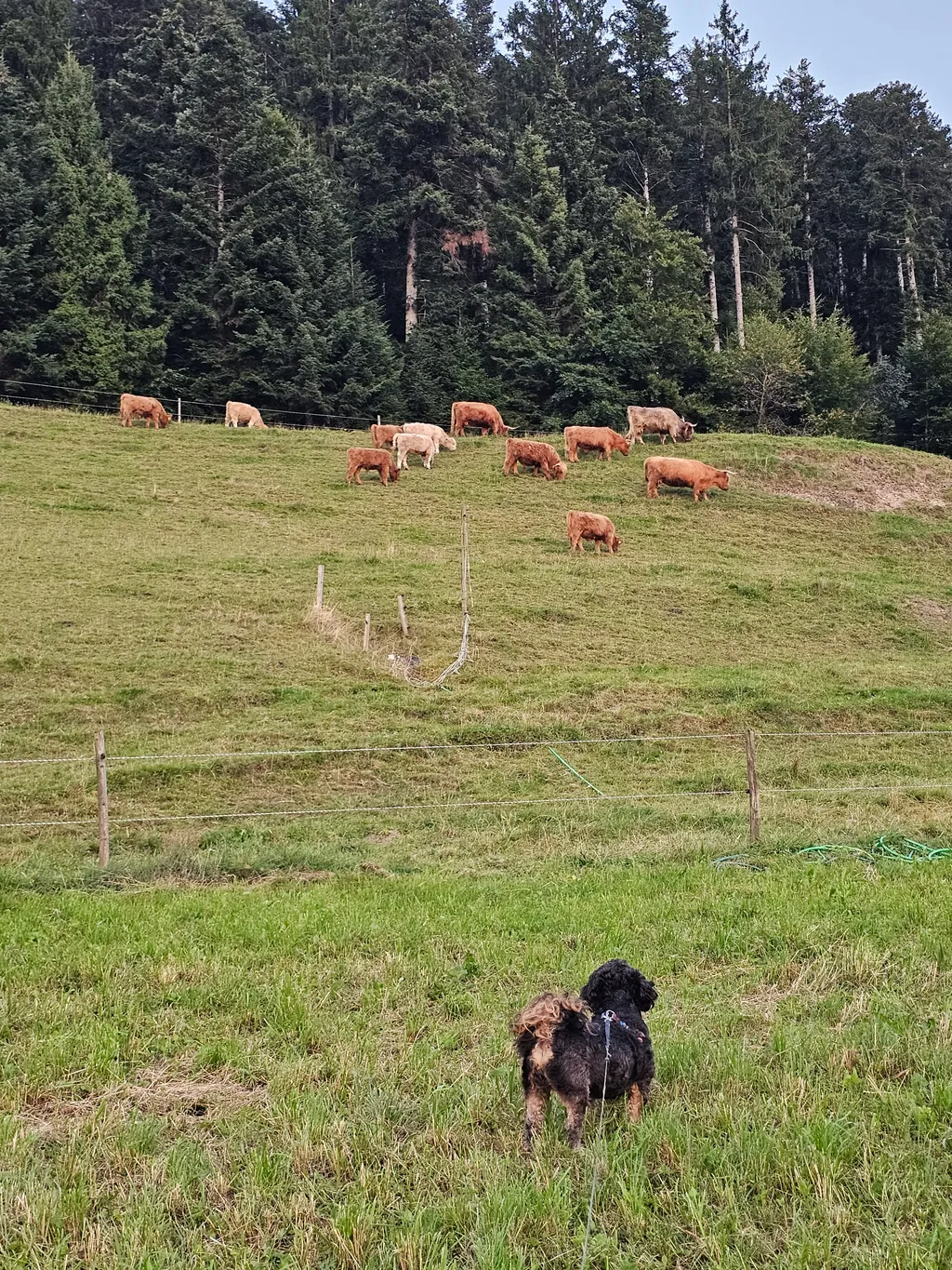 Bild von Justine für den Spot 148