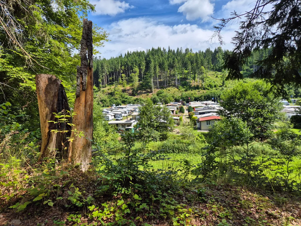 Bild von Thomas für den Spot 2542