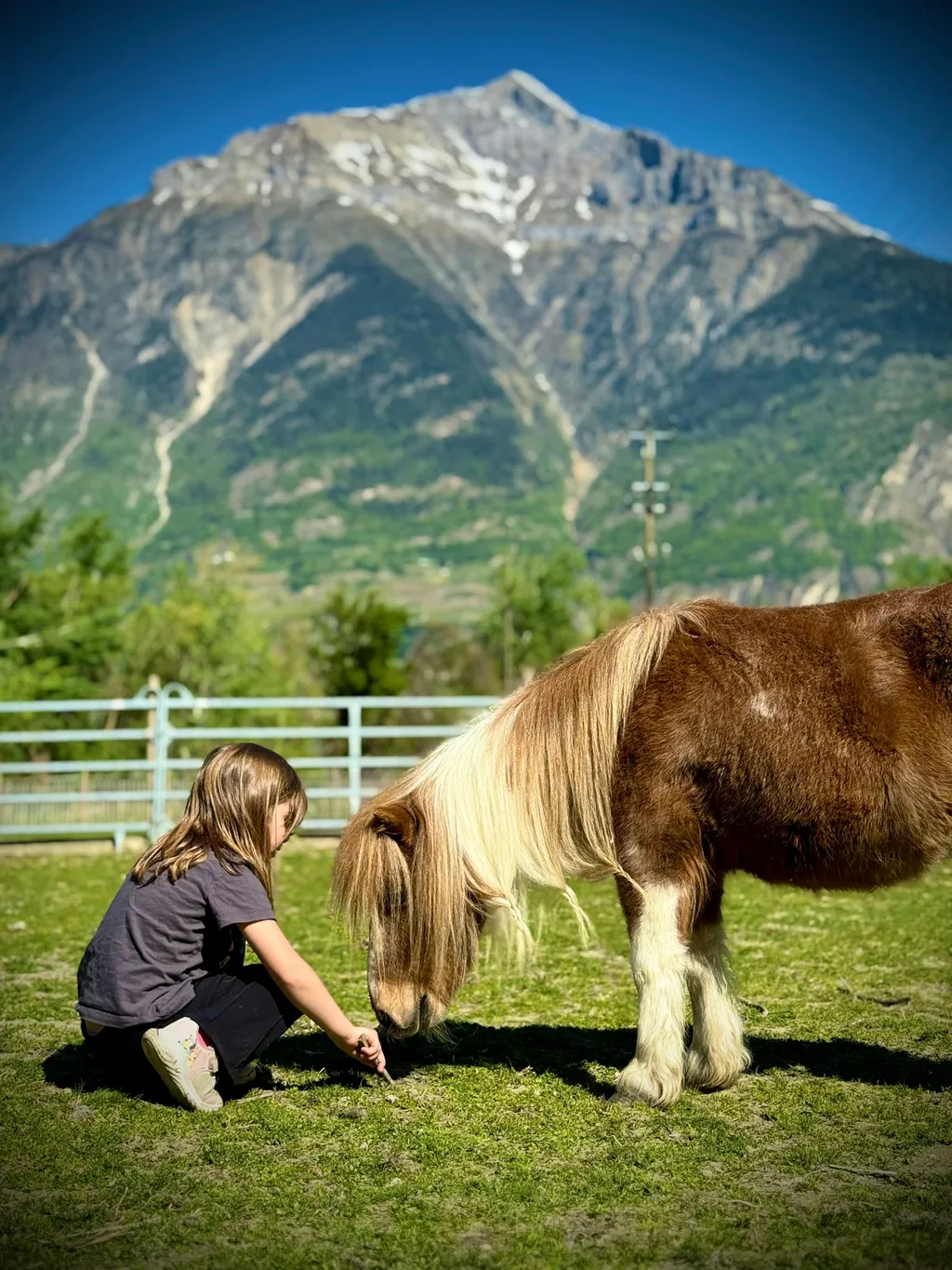 Au ❤️ du Valais, avec des animaux !