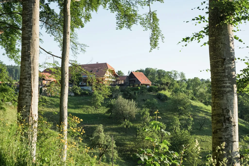 Eiger, Mönch und Jungfrau - Blick
