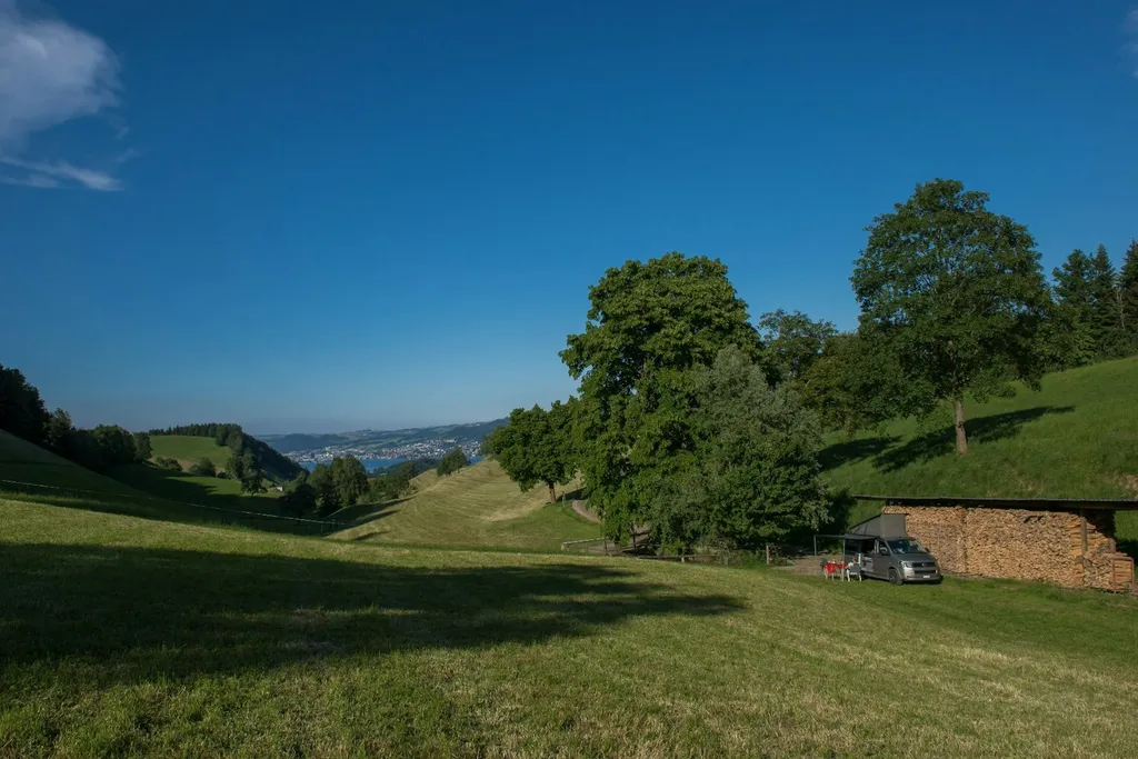 Auszeit am Forellenweiher