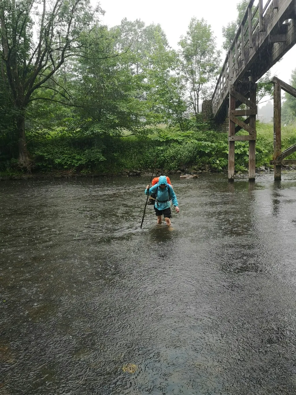 Photo de profil de Franziska