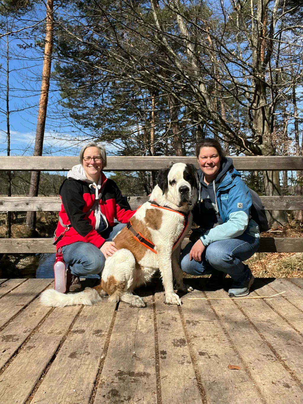 Profilbild von Alexandra