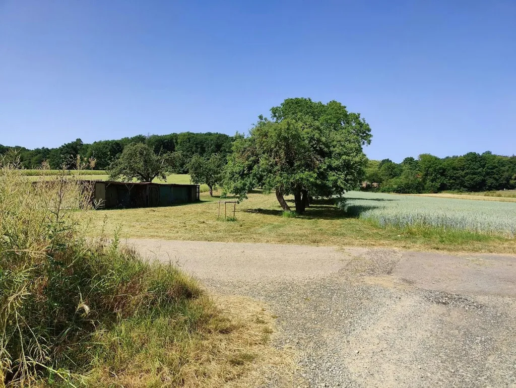 Obstbaum-Wiese inmitten von Feldern