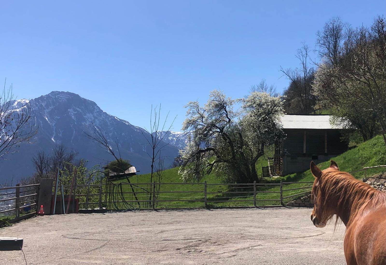 Zelten mit Sicht vom Goms bis auf den Simplon