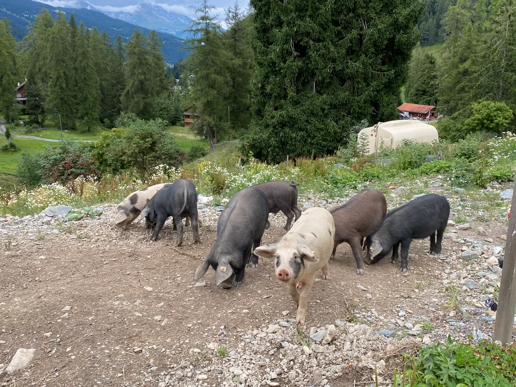 Bild von Renate für den Spot 136