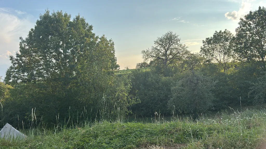 Bild von Teresa für den Spot 2872