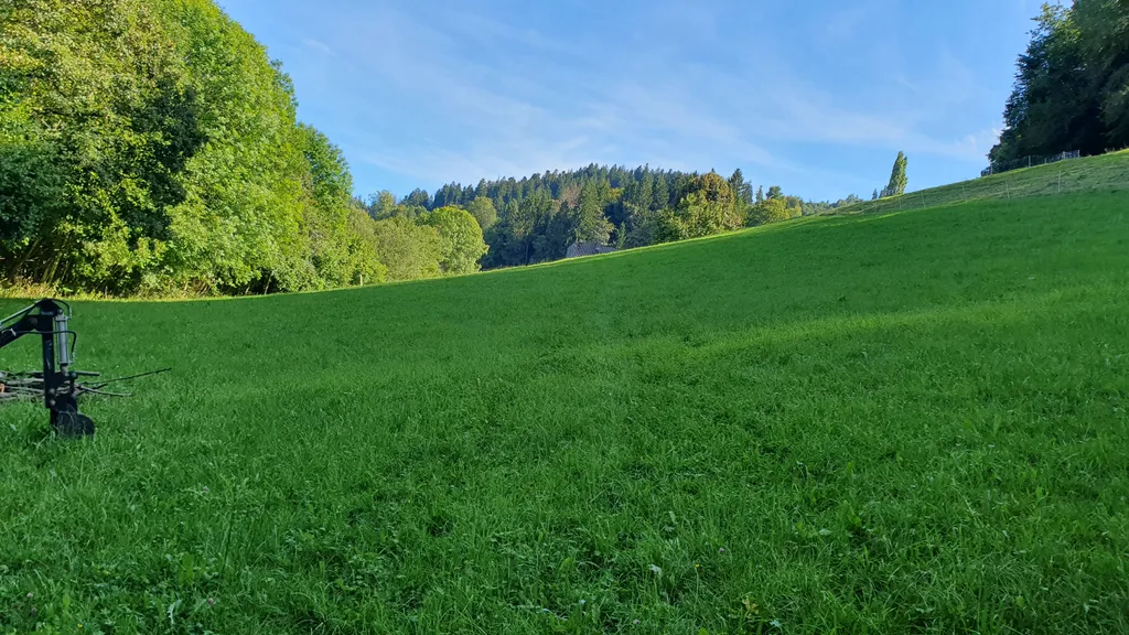 Bild von vanessa für den Spot 1285