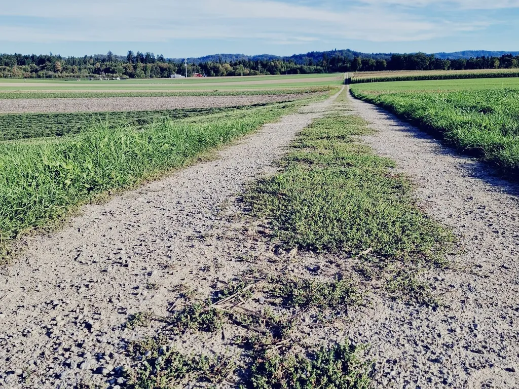 Naturcamping Oberfeld – Ruhe & Bergpanoramablick