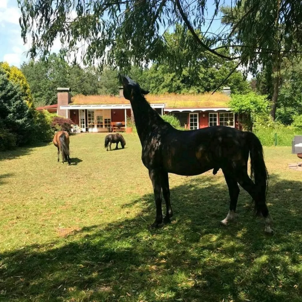 Ruhige Camperwiese Nähe HH