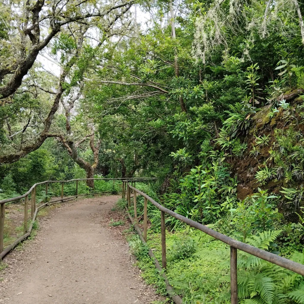 Peaceful Mountain Camping in Madeira