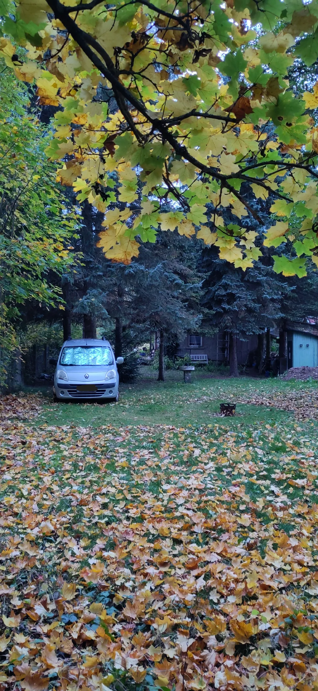 Bild von Thomas für den Spot 1881