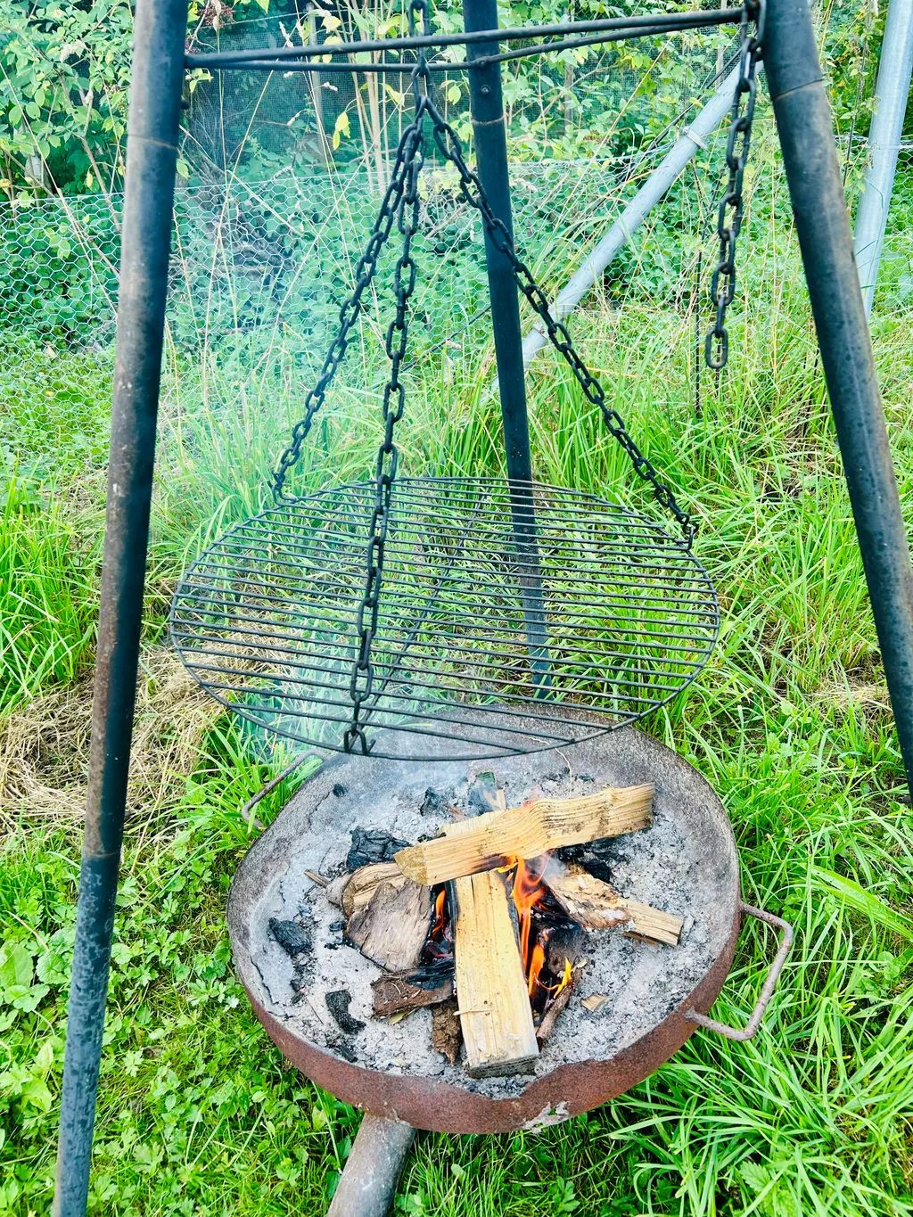 Bild von Sebastian für den Spot 736