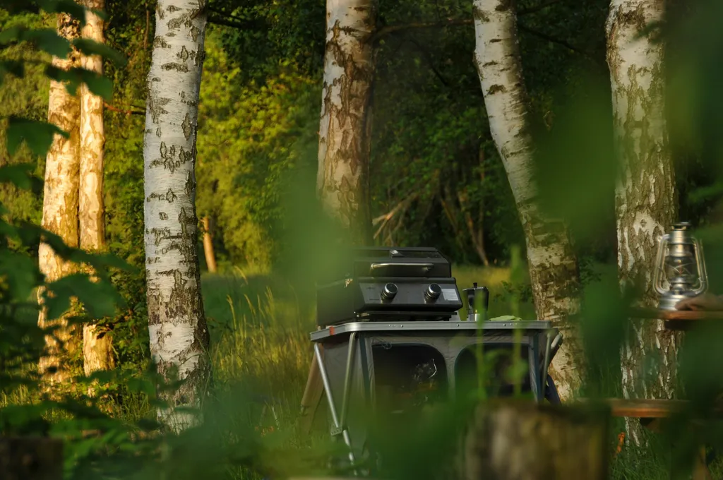 Bienengesumme in Alleinlage