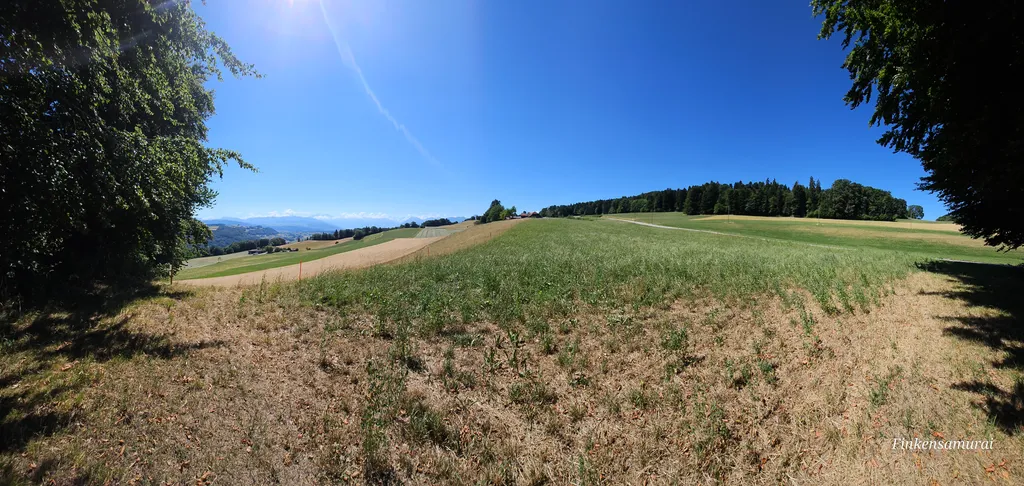 Bild von Jeffrey für den Spot 172