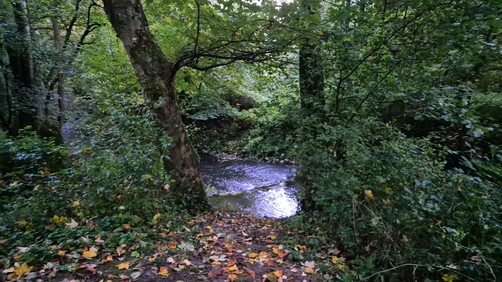 Bild von Sara für den Spot 1584