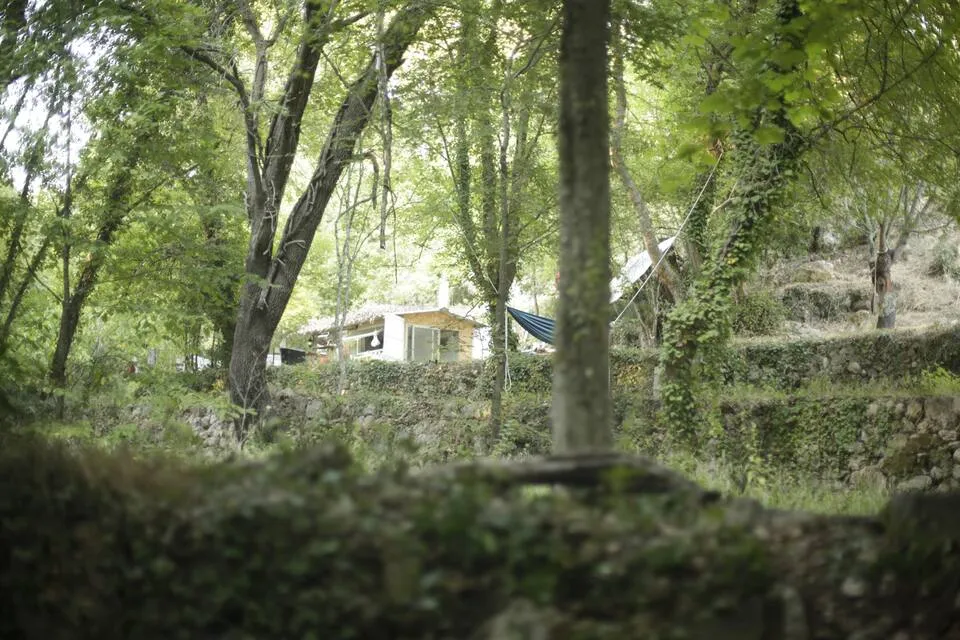 Die Hütte vom Bach aus gesehen