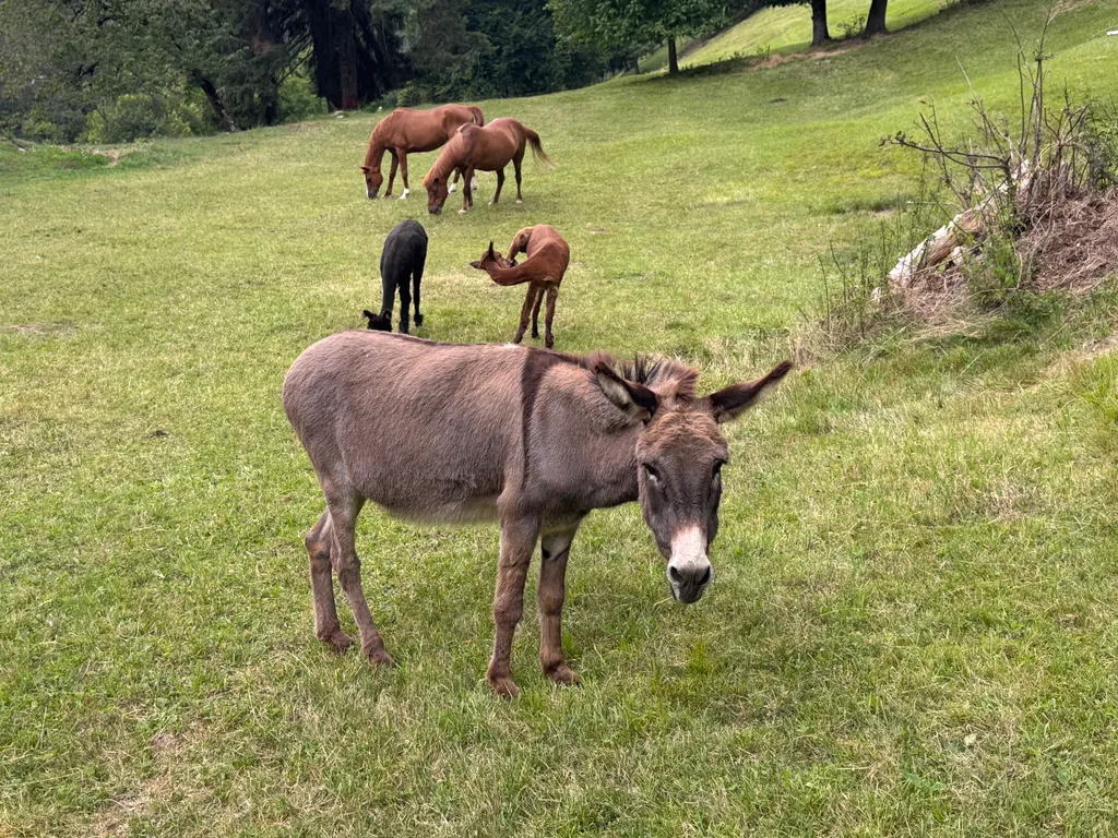 Bild von Urs für den Spot 1287