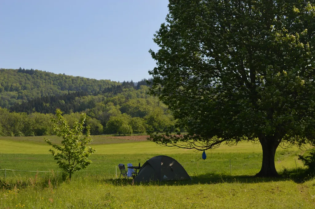 Möhrenblick