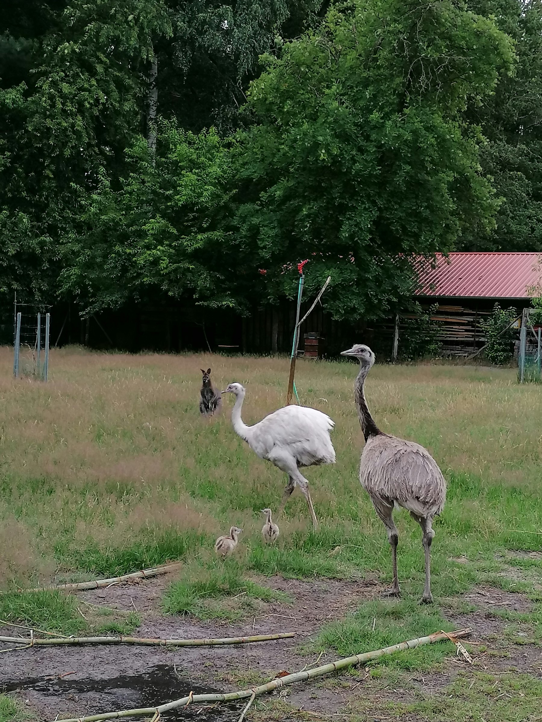 Hof, Tiere & pure Natur