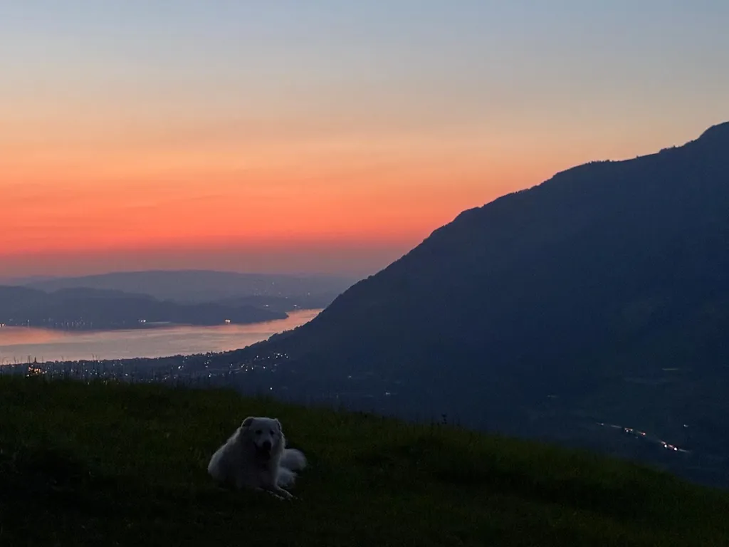 Image by Kathrin for spot 4362