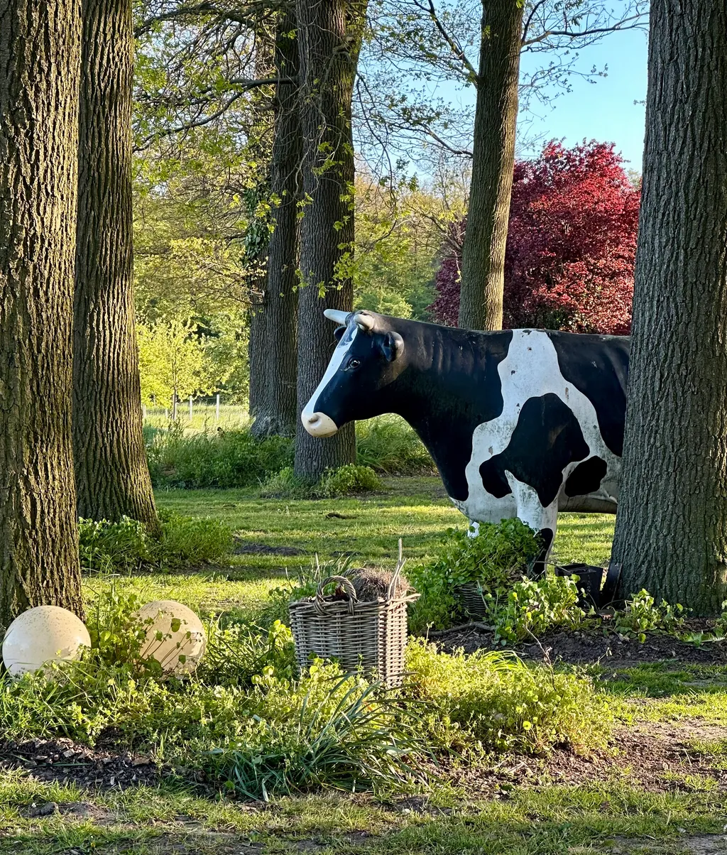 Bild von Stefan für den Spot 1575
