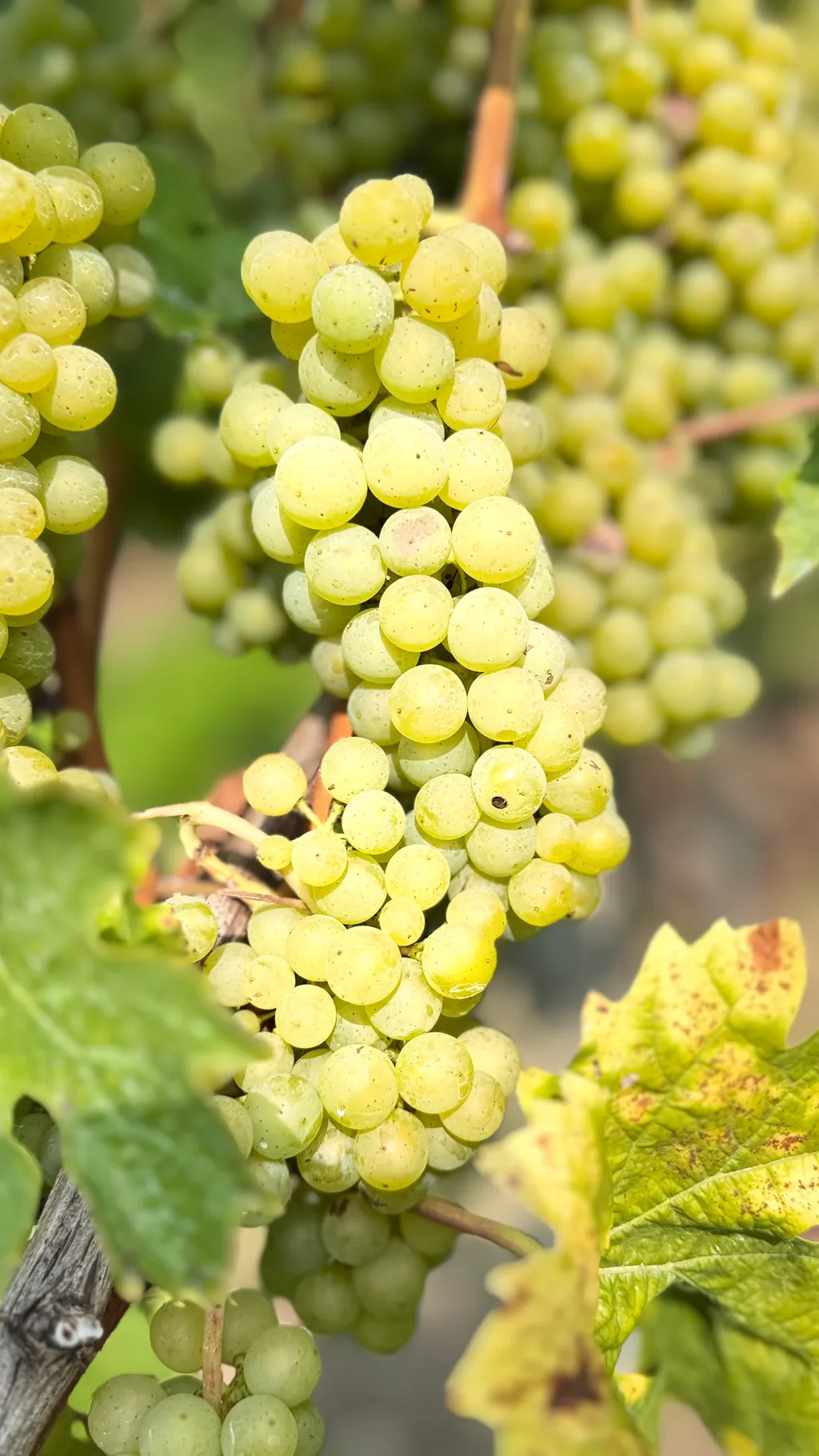 Bild von Claudia für den Spot 1586