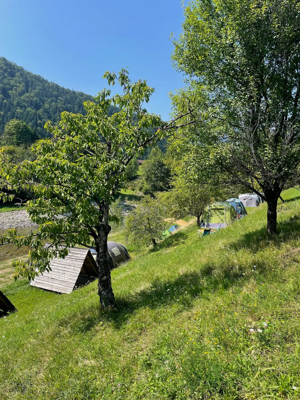 Pitch in a clearing on terrace with river view