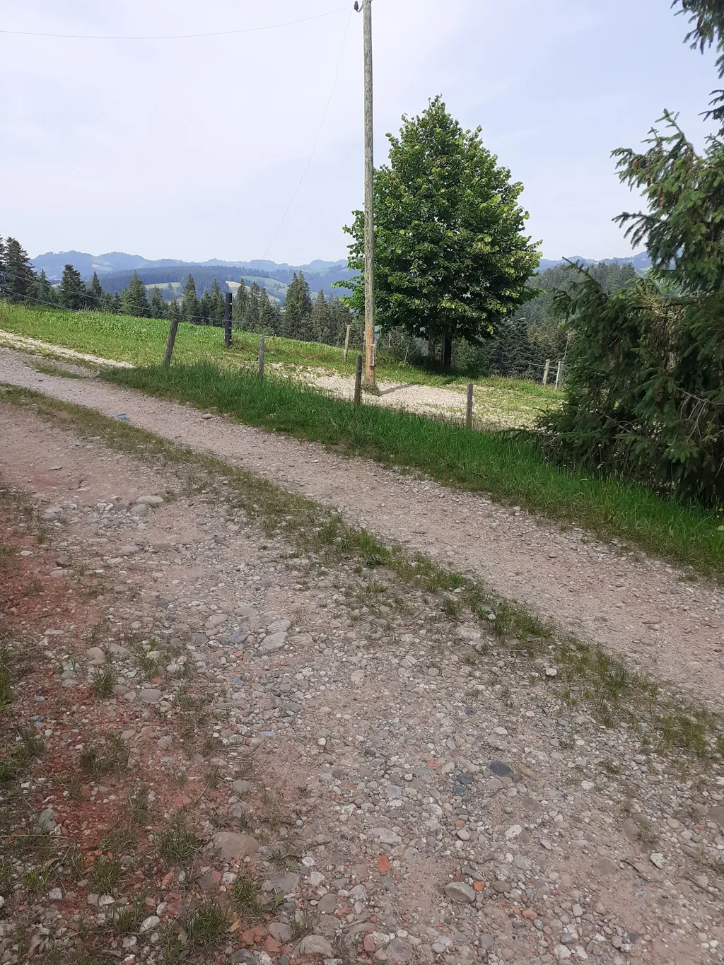 Emmental Eifach