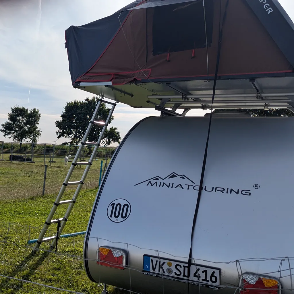 Profilbild von Dominik